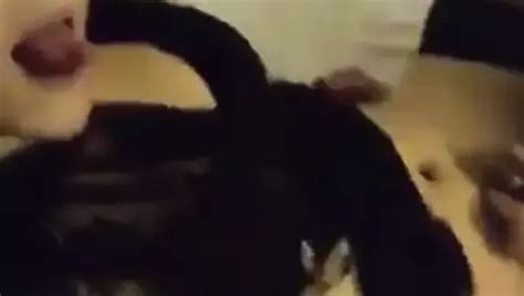 Shemale Slut Video Porn Selfie Free Shemalle Porn Fd Xhamster