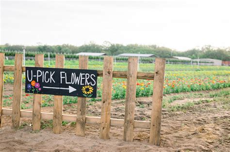 Tour the Grounds - Southern Hill Farms