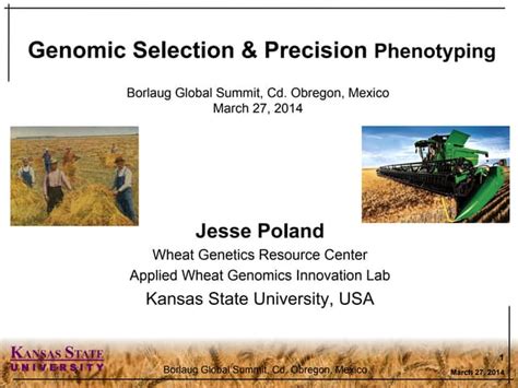 Genomic Selection And Precision Phenotyping Ppt