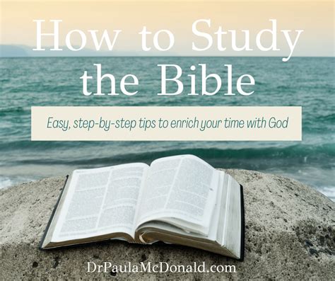 How To Study The Bible Dr Paula Mcdonald