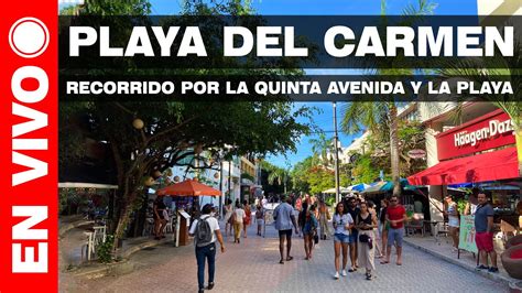 Playa Del Carmen En Vivo La Quinta Avenida YouTube