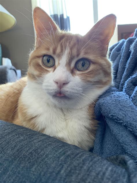 Nothing behind those eyes : r/OneOrangeBraincell