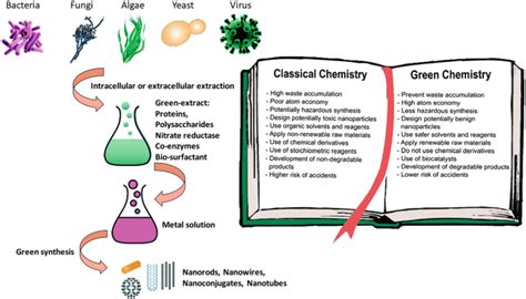 Green Synthesis Of Microbial Nanoparticles SpringerLink