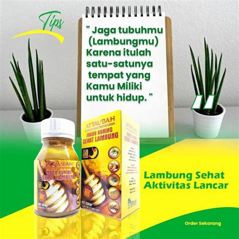 Jual Madu Kuning Sehat Lambung Attaubah Gr Shopee Indonesia