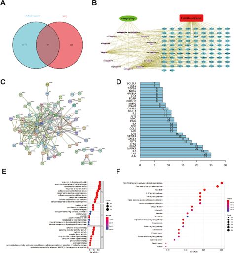 Network Pharmacology Analysis Of Eeth For Treatment Of Fs A Venn Download Scientific Diagram