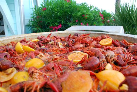 Crawfish – ShipWreck Grill