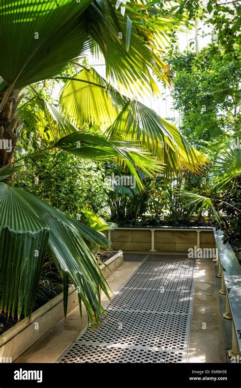 Kew Gardens Inside The Palm Hi Res Stock Photography And Images Alamy