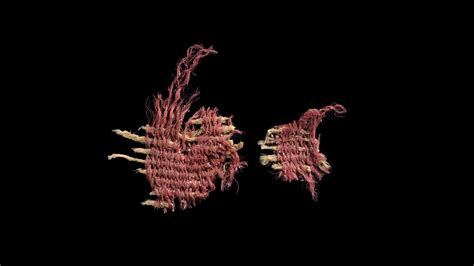 Biblical Textile Oldest Piece Of Fabric Ever Found Dyed With Scarlet Worm