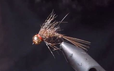 Fly Tying With Corey Guides Hare Ear Nymph Frostyfly