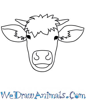 How To Draw A Cow Face Cartoon - All About Cow Photos