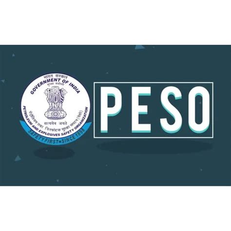 Peso Certificate Licensing Service at Best Price in Vadodara | Naina ...