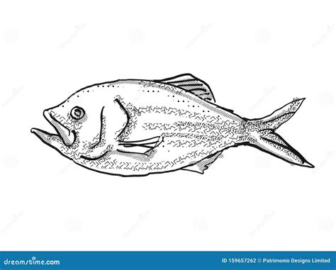 Red Snapper Vintage Illustration CartoonDealer 163242824