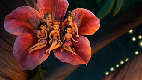 Image Group001  Disney Fairies Wiki Fandom Powered By Wikia