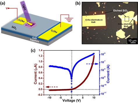 A 3d Schematic Illustration Of Mos 2 Gan Heterojunction Device B