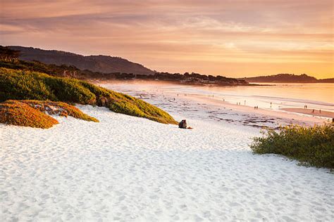 Best Carmel Beach Ca Stock Photos, Pictures & Royalty-Free Images - iStock