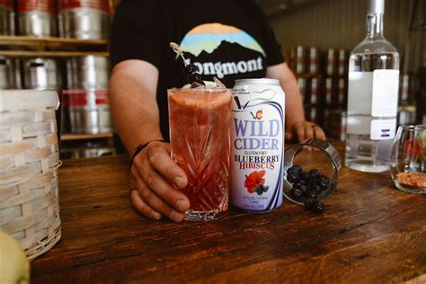 Wild Blueberry Collins Wild Cider