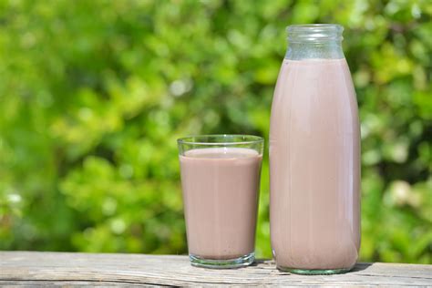 Un Batido De Chocolate Podría Ser El Aliado Perfecto Para Tomar Antes