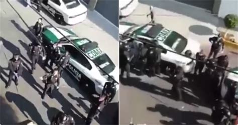 VIDEO Policías matan a pitbull en defensa