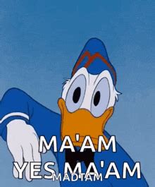 Donald Duck Naked Donald Duck Naked Shocked Discover Share Gifs