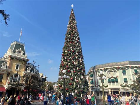 PHOTOS: Christmas Tree, Entrance Decorations Up at Disneyland ...