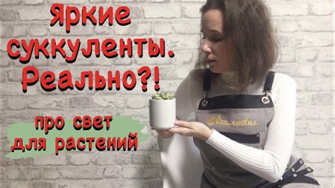 Лучшая подсветка для растений дома. Лампы для суккулентов. - YouTube