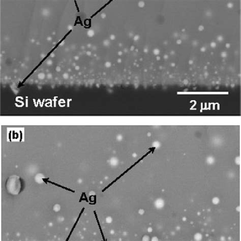 Pdf Role Of Pbo Based Glass Frit In Ag Thick Film Contact Formation For Crystalline Si Solar Cells