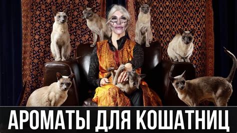 🐈 АРОМАТЫ ДЛЯ КОШАТНИКОВ / с черной смородиной - YouTube