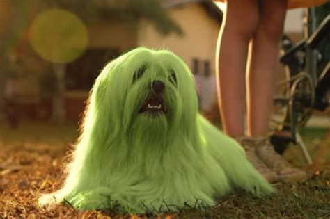 Cachorro Verde Turma Da Monica - ‘Turma da Mônica – Laços’: saiba como cão ficou verde para viver ...