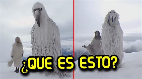 Los Pájaros Blancos de la Antartida Opium Birds la verdad YouTube