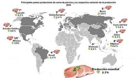 Qué porcentaje de carne de cerdo exporta e importa México Brainly lat