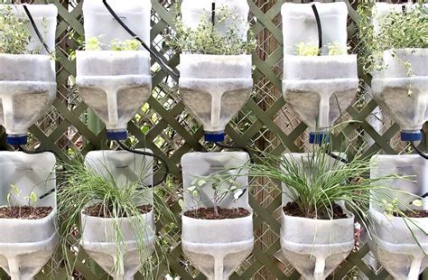 Cómo Hacer Un Jardín Vertical Casero Con Botellas Guía Paso A Paso