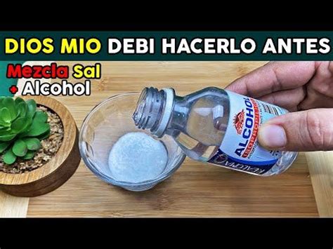 Tu Casa Se Perfumara Como Nunca Si Mezcla El Alcohol Con Sal De Esta