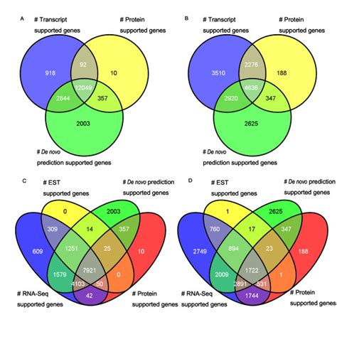 Venn Diagram For Sources Of Evidence For Multi Exon Gene Prediction