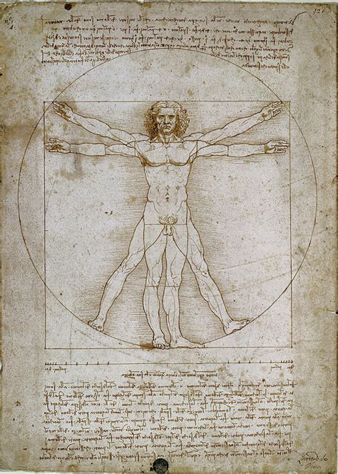 Vitruvian Man Mini Puzzle Pieces Tomax Puzzles Puzzle Warehouse