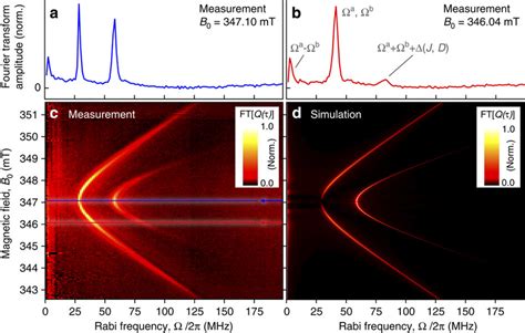 Rabi Spin Beat Oscillations As A Function Of B0 Detuning In The