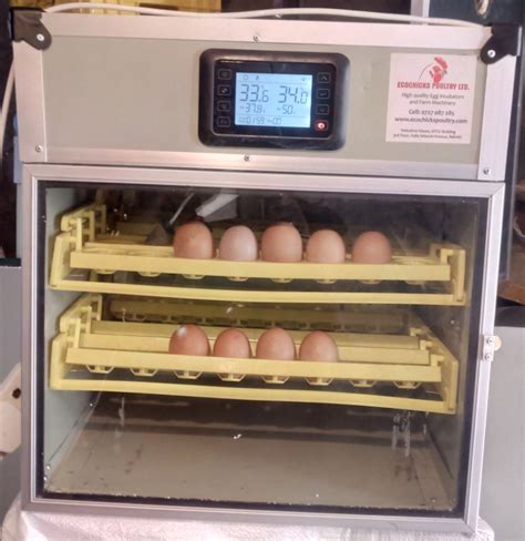 New Model Chicken Hatchery Egg Incubator Ecochicks Poultry Kenya