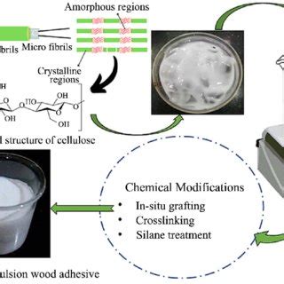 Mechanism Of Stabilized Polyvinyl Acetate PVAc Using Starch