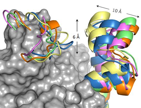 Molecular Modeling Studies - Concepcion Gonzalez Bello Web Page