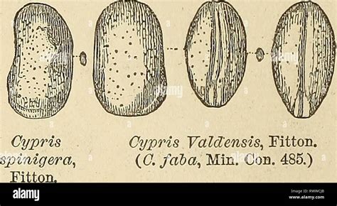 Elementos De Geolog A O Bien Los Elementos De La Geolog A O La