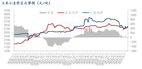 Mysteel半年报：玉米2023上半年市场回顾及下半年展望玉米新浪财经新浪网