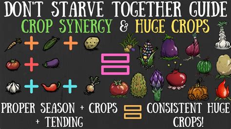 Best Crop Combinations For BIG Crops Don T Starve Together Guide