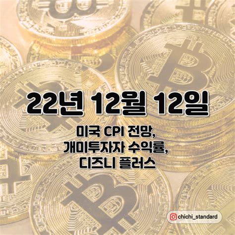 22년 12월 12일 미국 Cpi 전망 개미투자자 수익률 디즈니 플러스 네이버 블로그