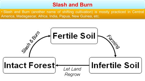 Traditional Agroforestry System in India- Shifting Cultivation, Taungya ...