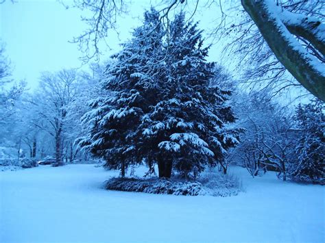 Winterrundgang Rolf Piepenbring Flickr