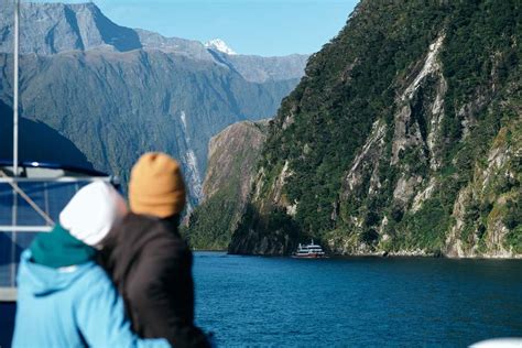 How to choose the Best Milford Sound Cruise (2024 Guide)