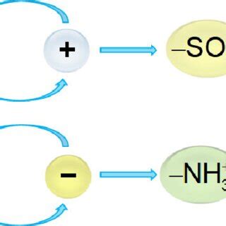 Schematic Representation Of The Iem Structure With Its Main Elements