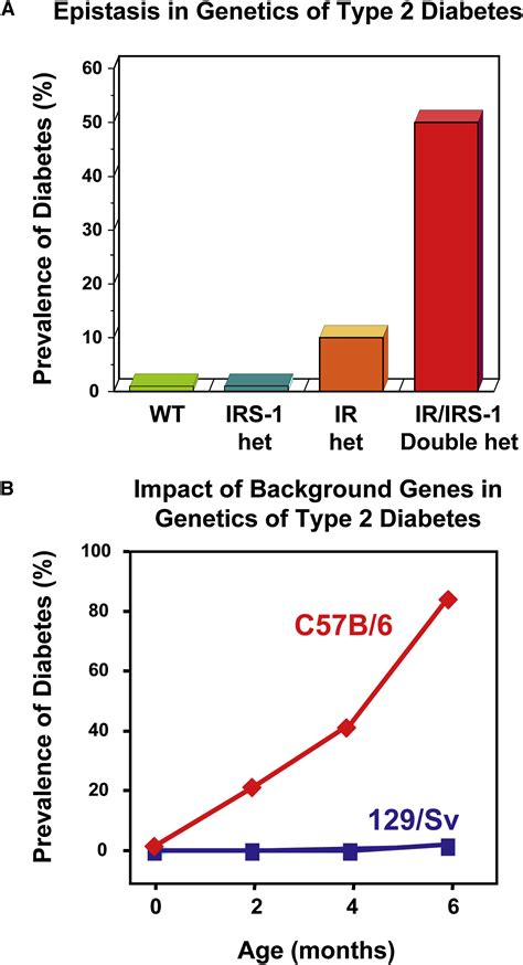 The Emerging Genetic Architecture Of Type 2 Diabetes Cell Metabolism