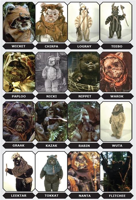 Ewok Lineup By Name Ewoks Star Wars Star Wars Drawings Star Wars