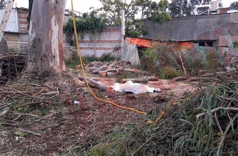 Hombre Muere Tras Caerle Tronco De Un Rbol Que Podaba En Tenancingo