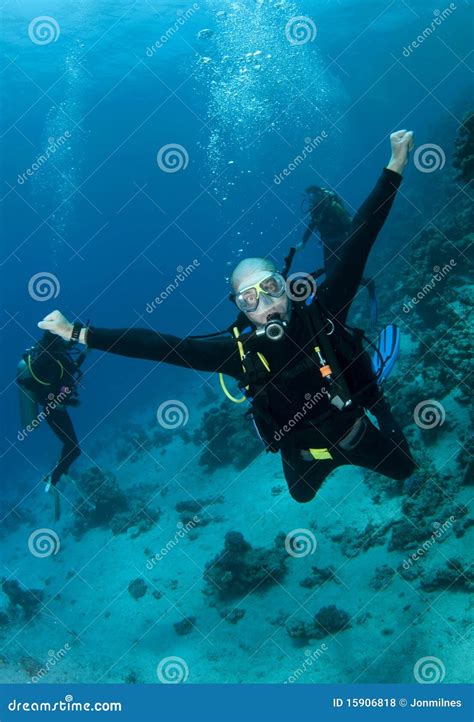 Happy Scuba Diver Stock Photo Image Of Swimming Environment 15906818